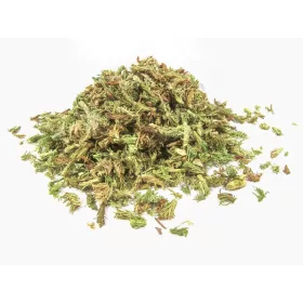 Korpafű 1000g