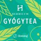 Gyümölcstea vadcseresznye 200g