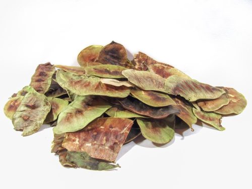 Szenna termés (egész) 50g