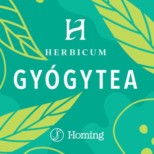 Gyümölcstea erdei ízű 200g